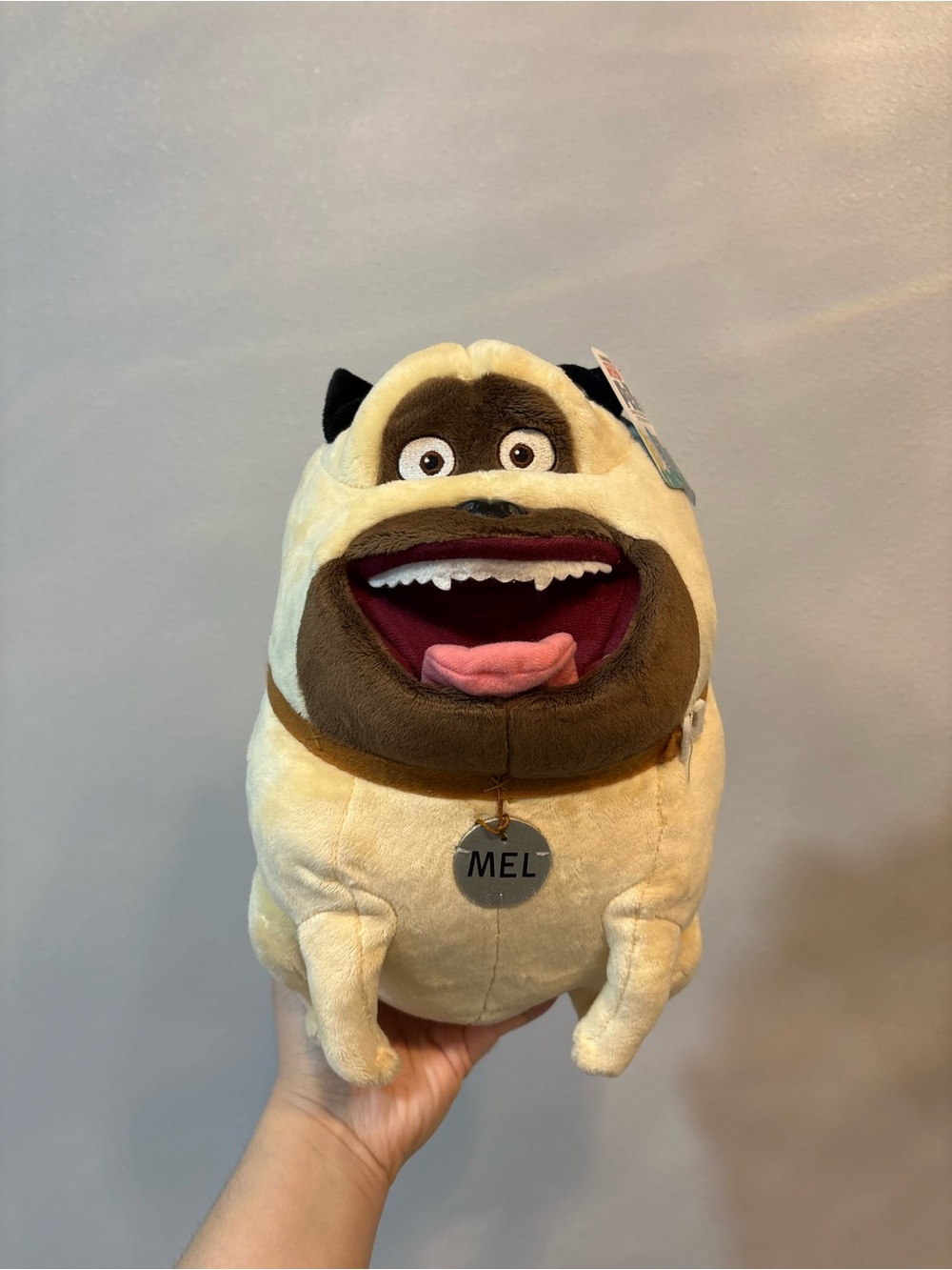 The secret life of pets Pug “Mel” from California Universal Studios
